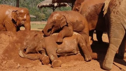 Read more about the article 9월 치앙마이 날씨 , 기온 상승, 비 강수량, 복장, 항공료,  호텔 가격