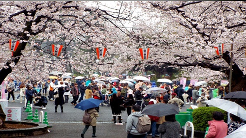 도쿄 4월 날씨