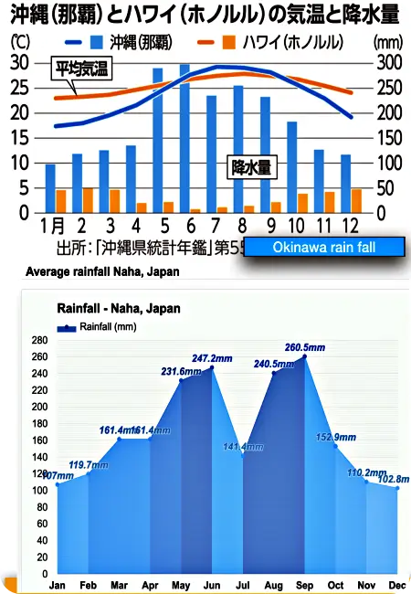 오키나와 12월 비 강수량