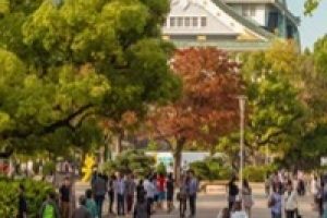 오사카 1월 날씨, 여행 옷차림, 태풍,  esim,  항공권 가격