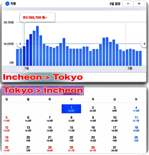 도쿄 1월 항공료