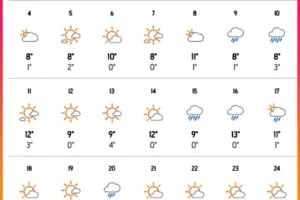 도쿄 2월 날씨 기온, 벚꽃 시기,  포켓몬 센터 위치, 옷, 눈 정보,  항공권 가격
