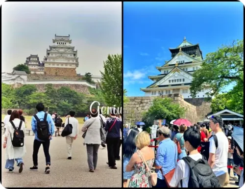 Read more about the article 오사카 5월 날씨,  비, 여행 옷,  태풍 주기,  항공료, 숙소 가격, 이심 할인