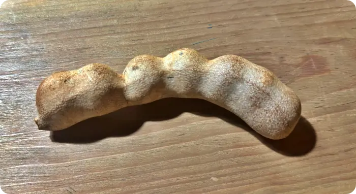 타마린드