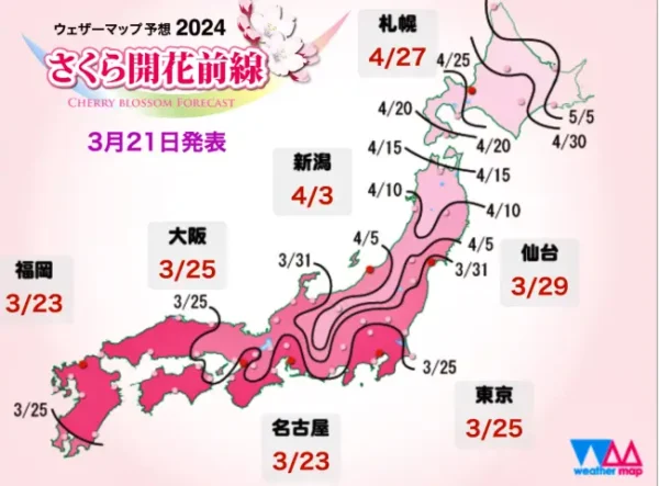 2024년 일본 벚꽃 개화 시기 