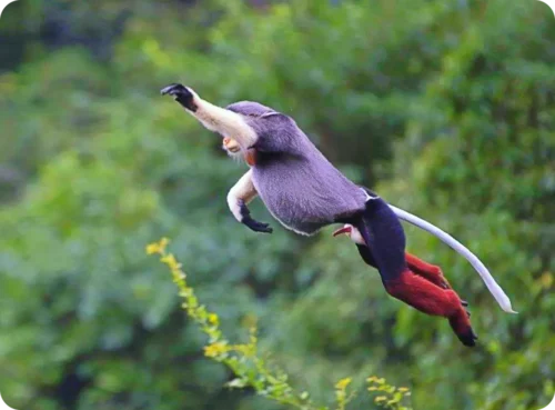 Read more about the article 다낭 9월 날씨, 우기 기간, 태풍 , 여행 명소,  공항 유심,  추석 항공료, 옷 준비