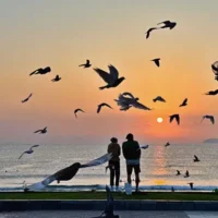 12월 나트랑 날씨, 복장, 비 강수량,  재래시장 정보, 항공 가격, 유심 할인