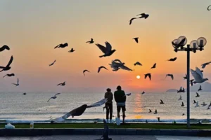 12월 나트랑 날씨, 복장, 비 강수량,  재래시장 정보, 항공 가격, 유심 할인