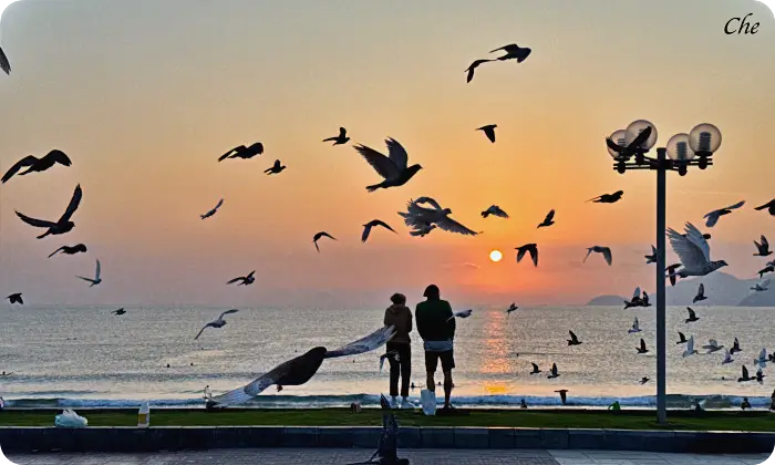 나트랑 12월 여행