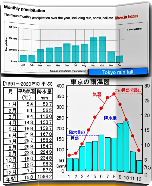 도쿄 11월 비 강수량