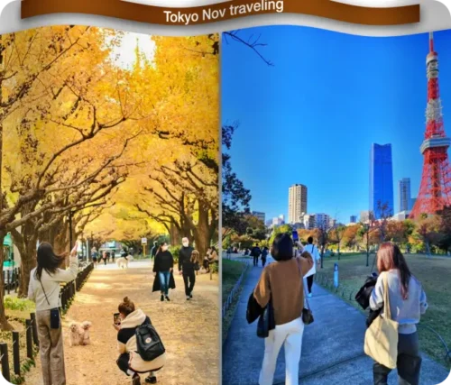 Read more about the article 도쿄 11월 날씨, 여행 적기 이유, 비 강수량, 옷 코디, 항공료, 유심 할인