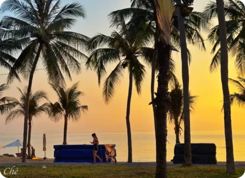 Read more about the article 나트랑 1월 날씨 기온, 수영 물 온도, 건기 기간 비, 옷, 유심 할인,  항공, 호텔 가격