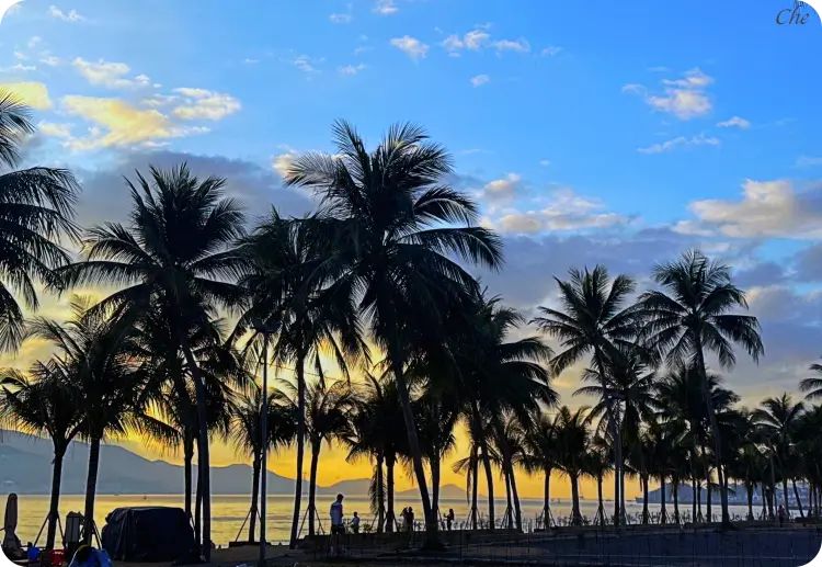 나트랑 2월 날씨 풍경