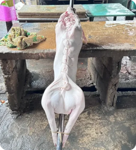 Read more about the article 세부 레촌 맛집 추천, Gogoes lechon, 가격,  레촌 역사, 유래, 저렴한 곳